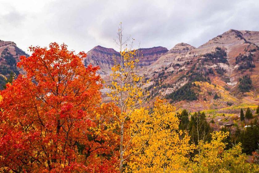 Вилла Carriage House On The Stream Sundance, Utah Экстерьер фото